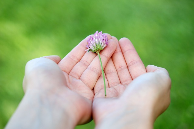 小さな花を両手で持っている画像