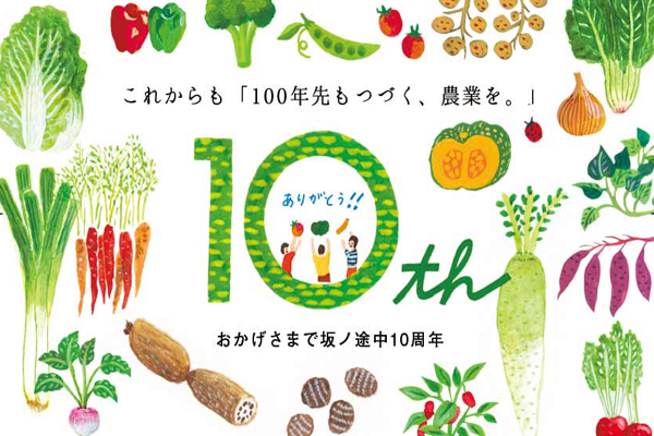沢山の野菜のイラスト画像