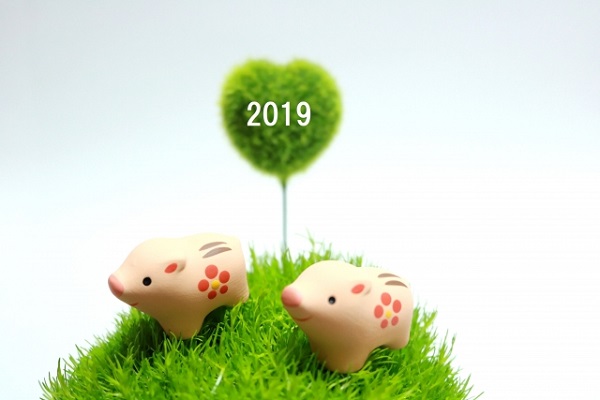 2019の文字と猪の置物の画像