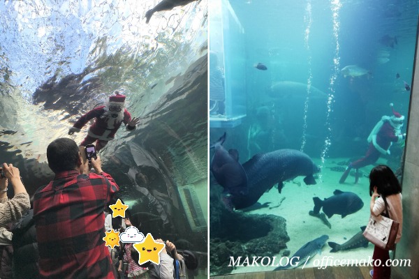 魚と一緒に泳ぐサンタの画像
