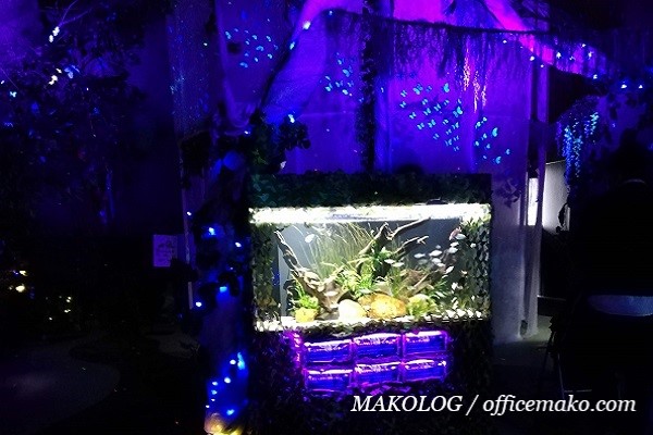 暗闇の中にある水槽の画像