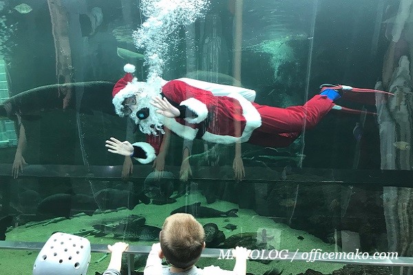 水槽の中を泳ぐサンタの画像