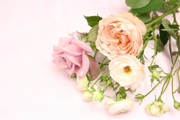 薔薇の花束の画像
