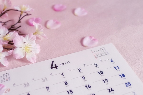 カレンダーと桜の花の画像