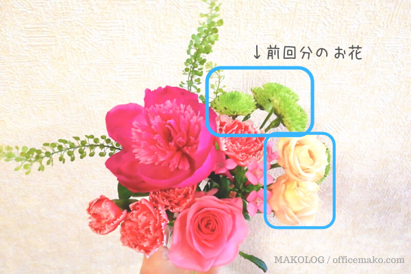 ブルーミーライフの花2回分