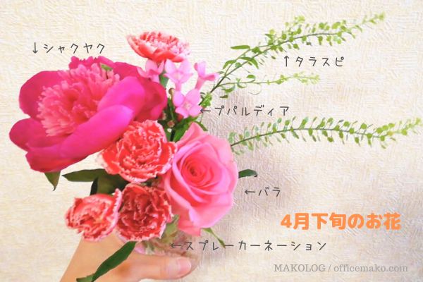 ブルーミーライフで3回目の届いたお花