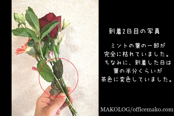 葉っぱが枯れている花束の画像