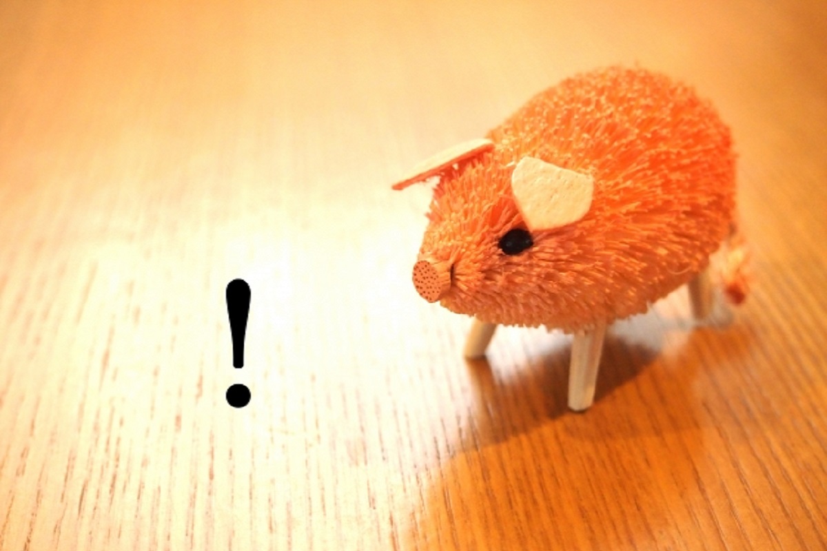 驚いている豚の画像